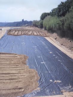 Subgrade Reinforcement