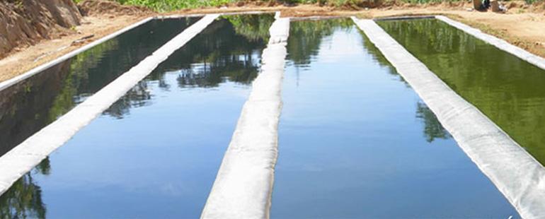 Plantas De Tratamiento